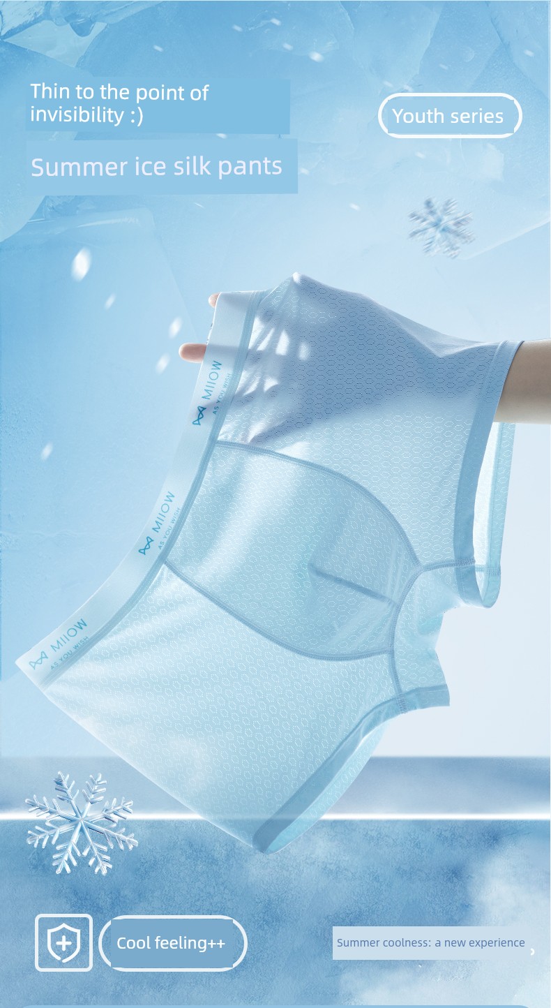 Catman Youth Underwear Children's A-Class Ice Silk Summer Thin Boxer Briefs for Boys in Middle and High School, Long-Term Use Four-Corner Style — 2