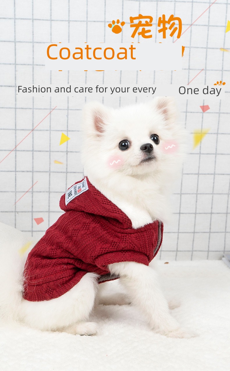 poodle new year VIP Bichon Pomeranian Pets sweater