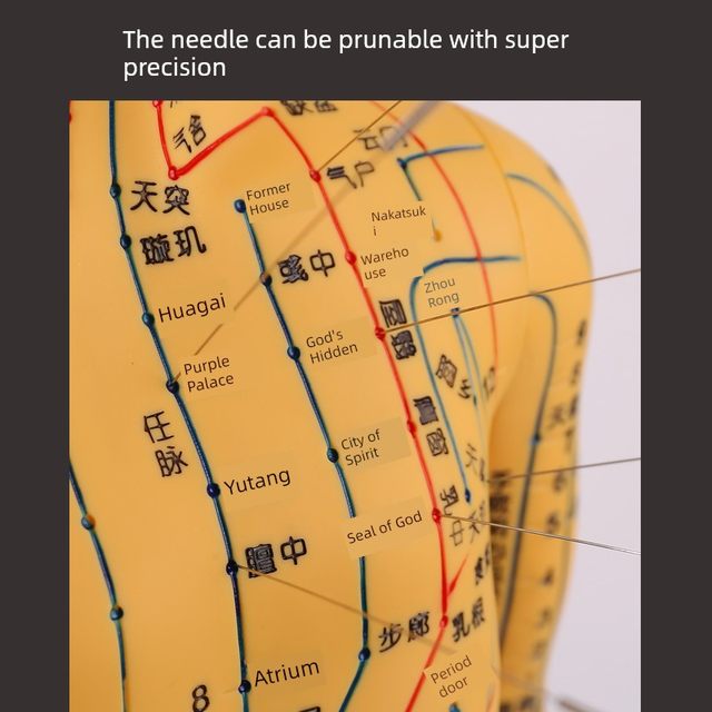 Super clear meridians and men's body model Human body meridian model Traditional Chinese medicine bronze acupuncture acupoint model