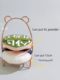 Can hold X Grape 100-minute XL Powder Beauty Egg Rack Holder Multi-layer Air Cushion Powder Storage Drying Placement Rack