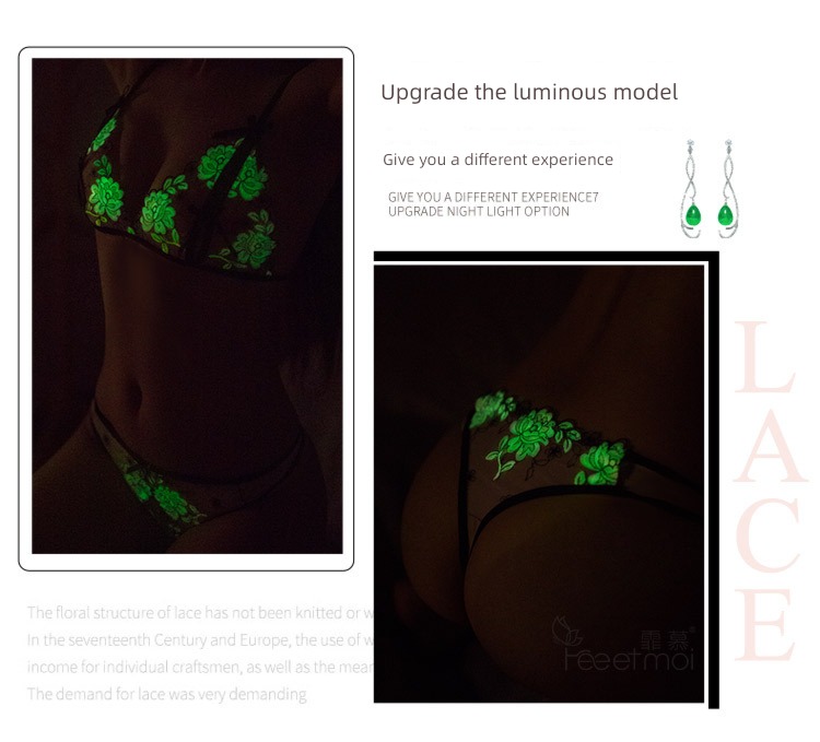 Fei Mu Europe and America perspective Mesh embroidery sexy Underwear