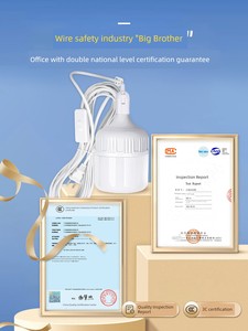 Plug-in Outdoor Hanging Switch with Line Energy-Saving Bulb