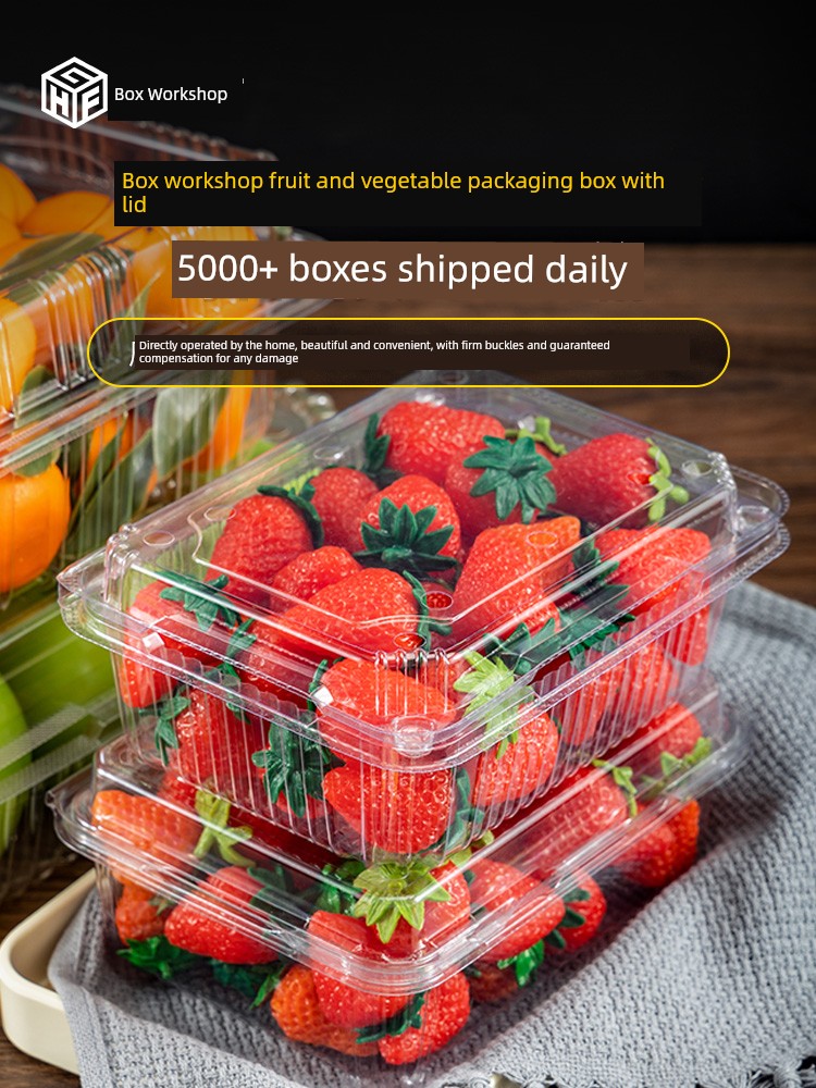 Disposable Fruit Packaging Box with Lid for Supermarket Fruit Stores, Suitable for Jujube, Plum, Grape, Transparent Packaging Box for Pomegranate