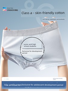 Teenage Boys' Underwear, Large Children's Boxer Briefs, Puberty Development Period, Early and High School Boys, Students