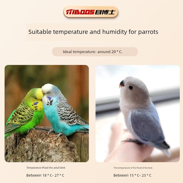 Thermometer, precise and high-precision indoor electronic mini dry thermometer meter for turtle crawling pet breeding