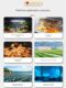 Wifi intelligent temperature controller remote timing temperature fish tank temperature control socket thermostat crawl pet temperature control switch