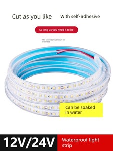 Solid Glue-Filled 12V24V Waterproof Light Strip Self-Adhesive Led Underwater Light Strip for Swimming Pool, Fish Tank, O